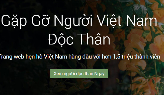 Website kết đôi hẹn hò online Vietnamcupid.com